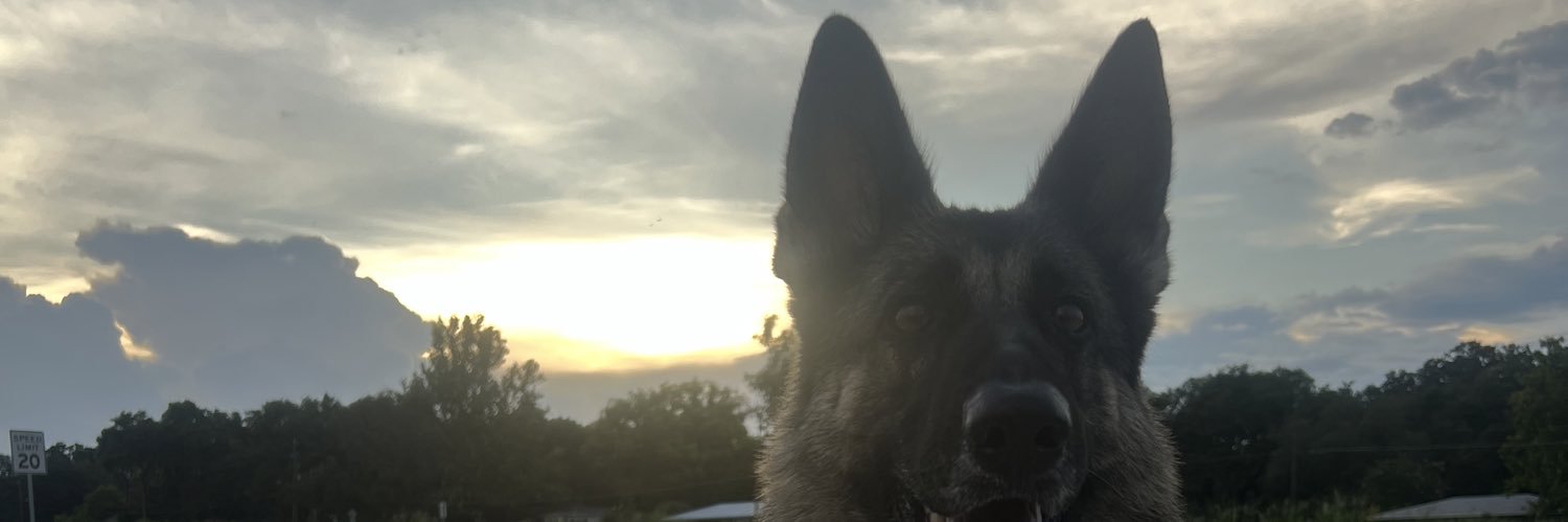LoganRodriguez2's profile banner image