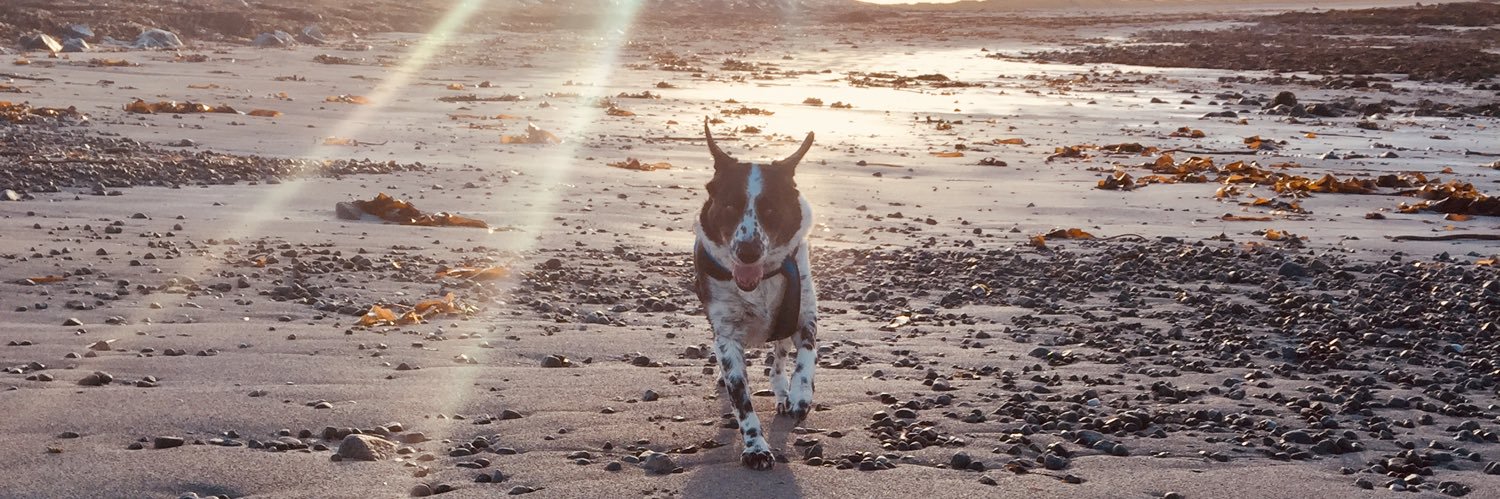 S1Fet's profile banner image