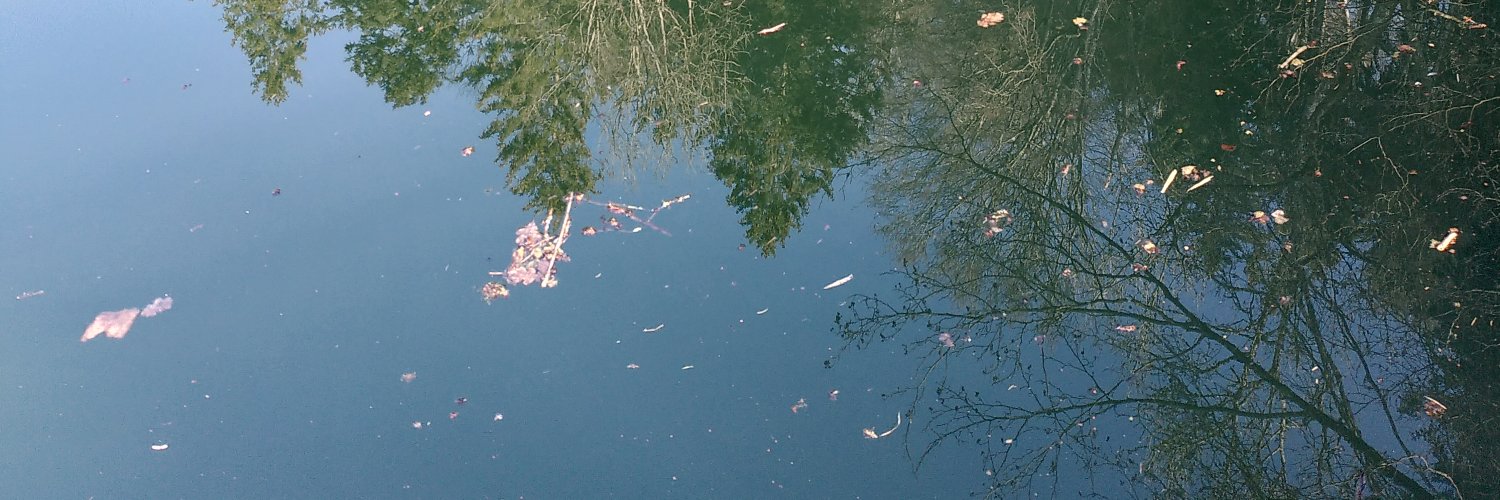 Juli Arancio | cassandreces@scholar.social banner