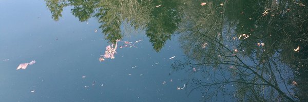 Cassandreces Profile Banner
