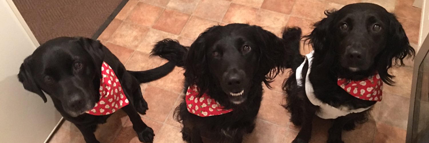 Mollie banner