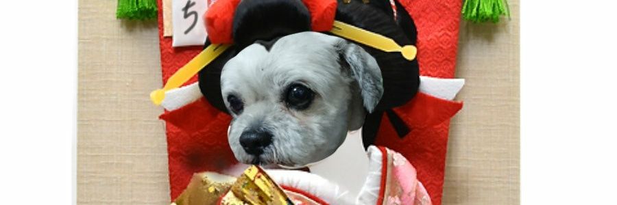 boy320852's profile banner image