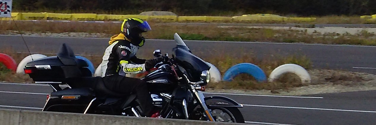 クルエル banner