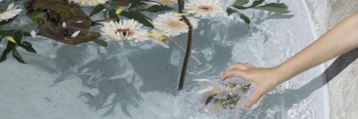 hilodoradoo's profile banner image