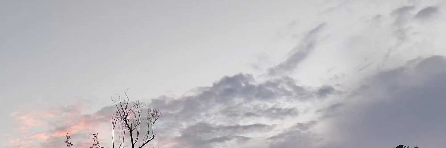 RMenestrini's profile banner image
