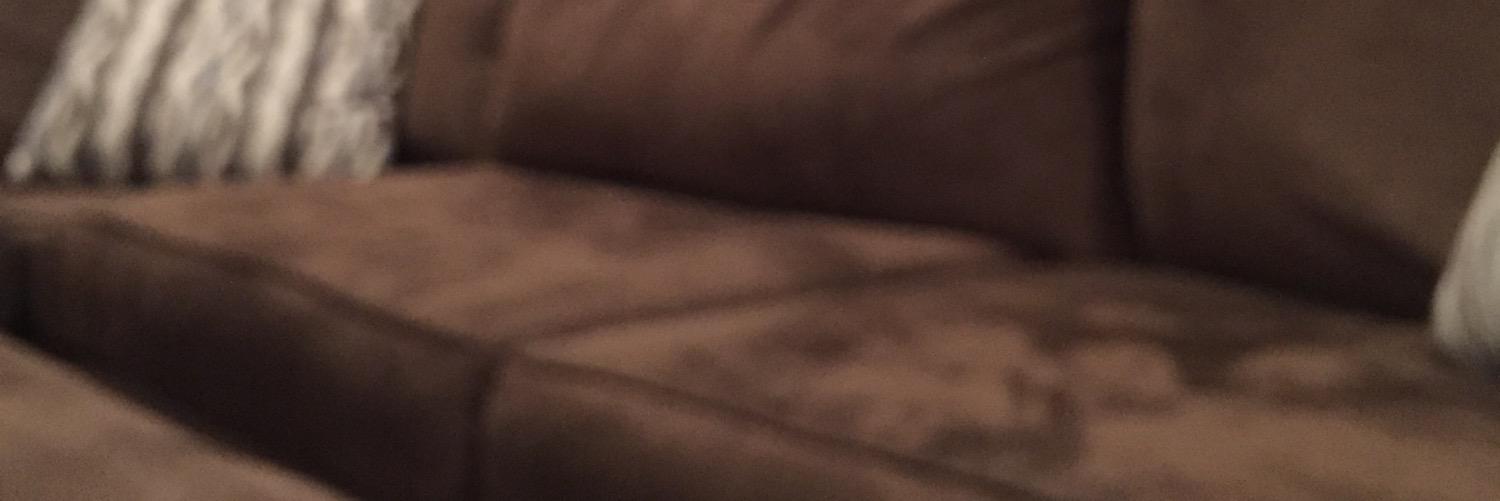 beaudstheboxer's profile banner image