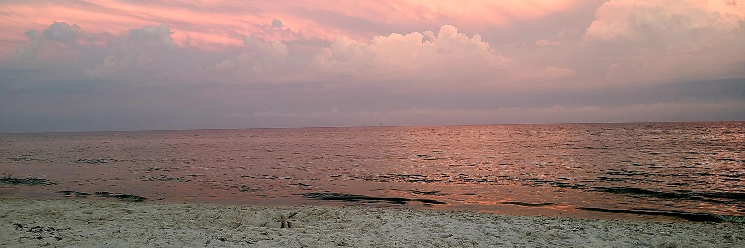 Mrs. Williams banner