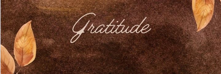Gratitude 🌻💐 banner