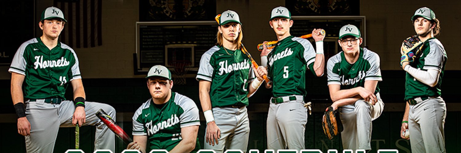 baseball_hornet's profile banner image