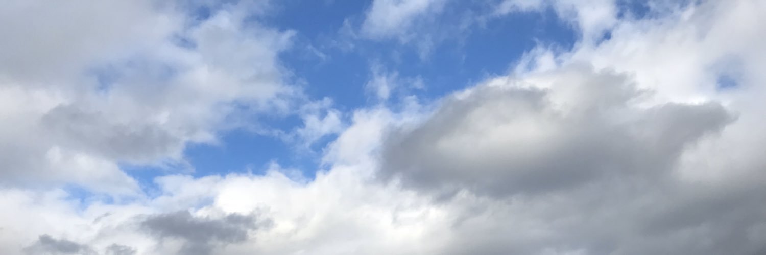 kinder king banner