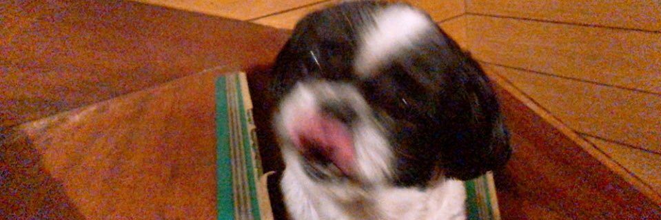 福岡弥由唄 banner