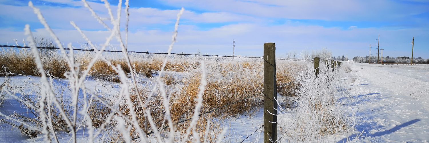Megan Lethbridge banner