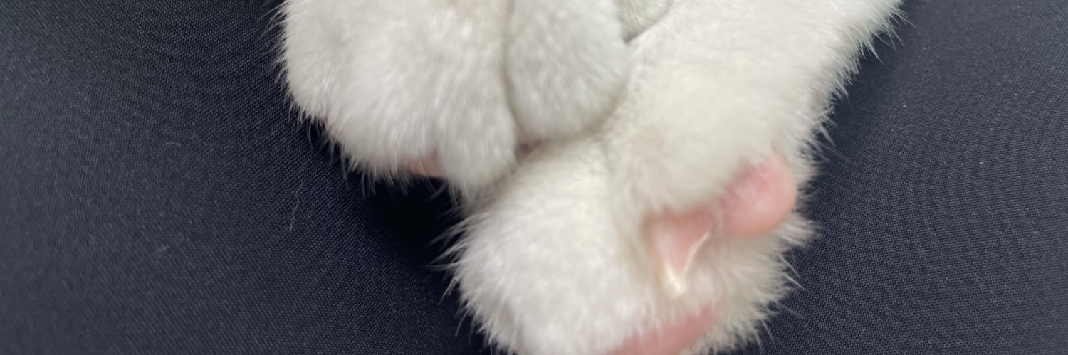 Somu_724's profile banner image