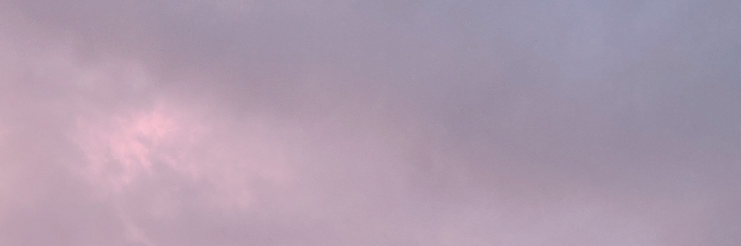 HAMEYURI's profile banner image