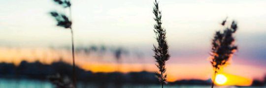 It_nekas's profile banner image