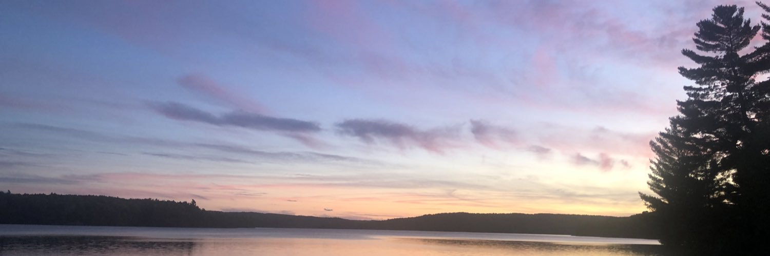 posy_o's profile banner image