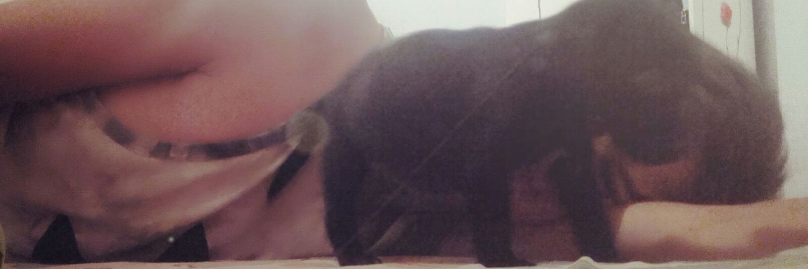 GabrielMoix's profile banner image