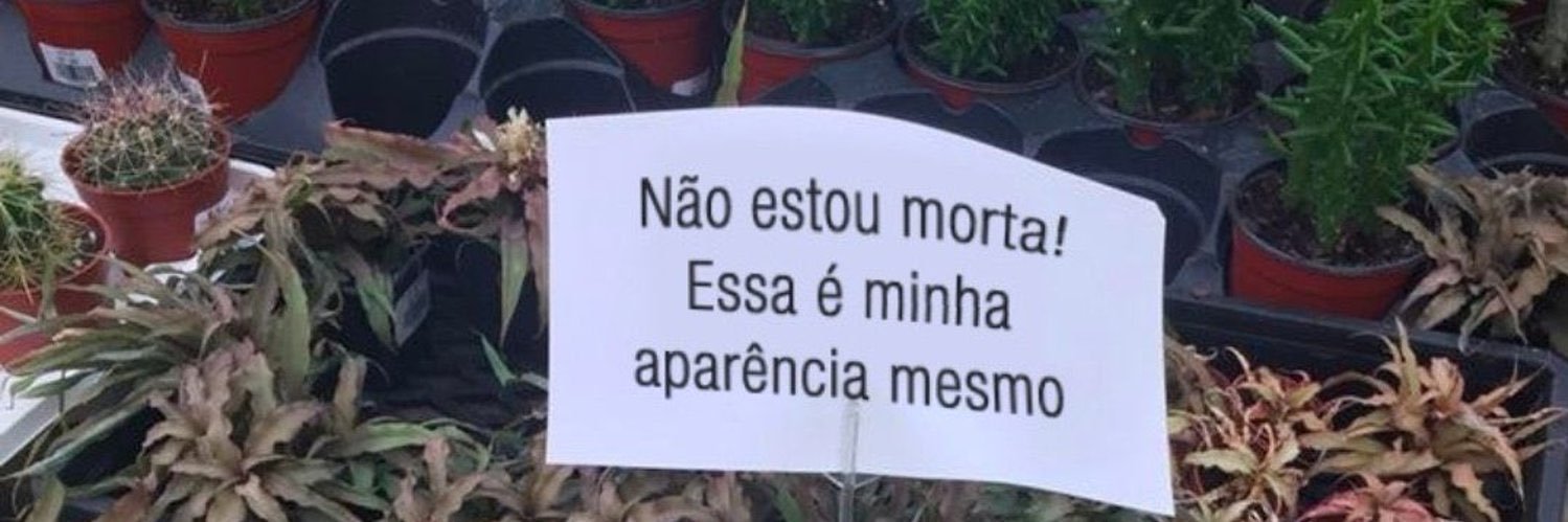eularissj's profile banner image