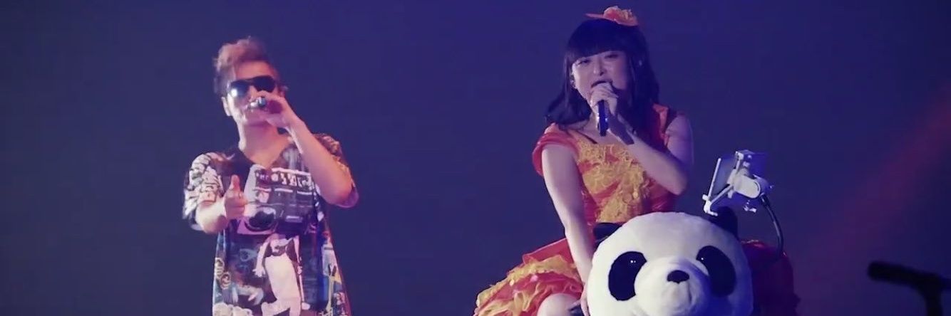 しゃちょう🦭🍻@2件目に飲みいっちゃダメ絶対 banner