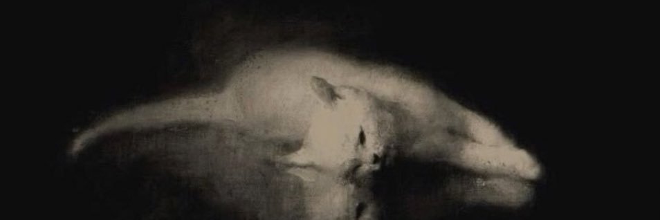 gothbellaswan's profile banner image