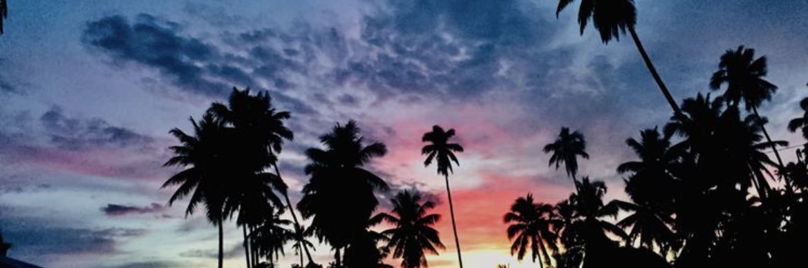 BTianaaa's profile banner image