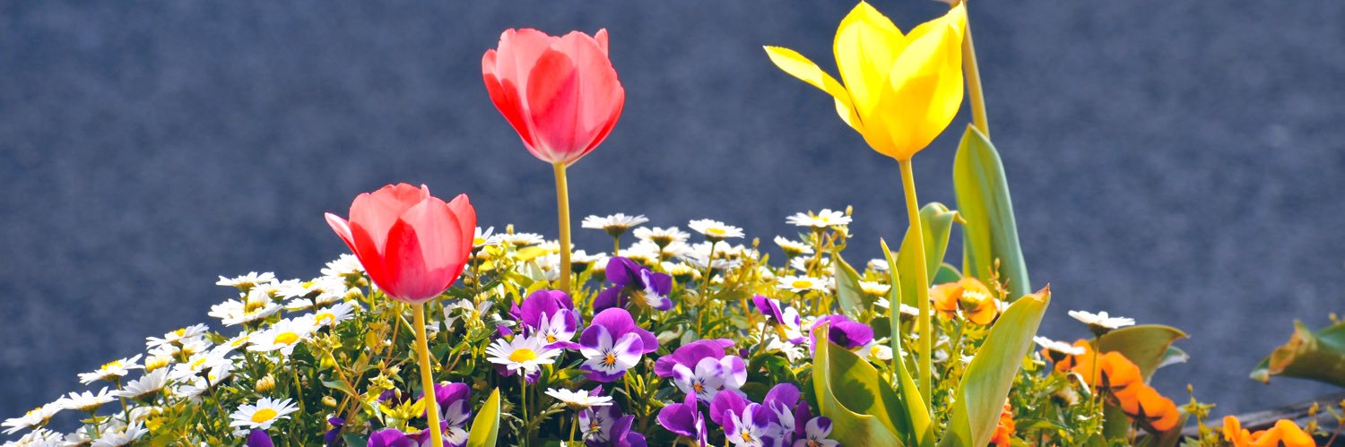 create_margaret's profile banner image