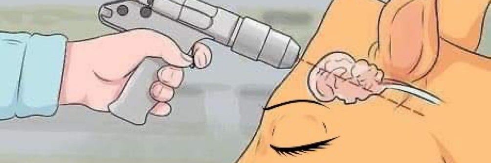 TanisIsGoodOutHere banner