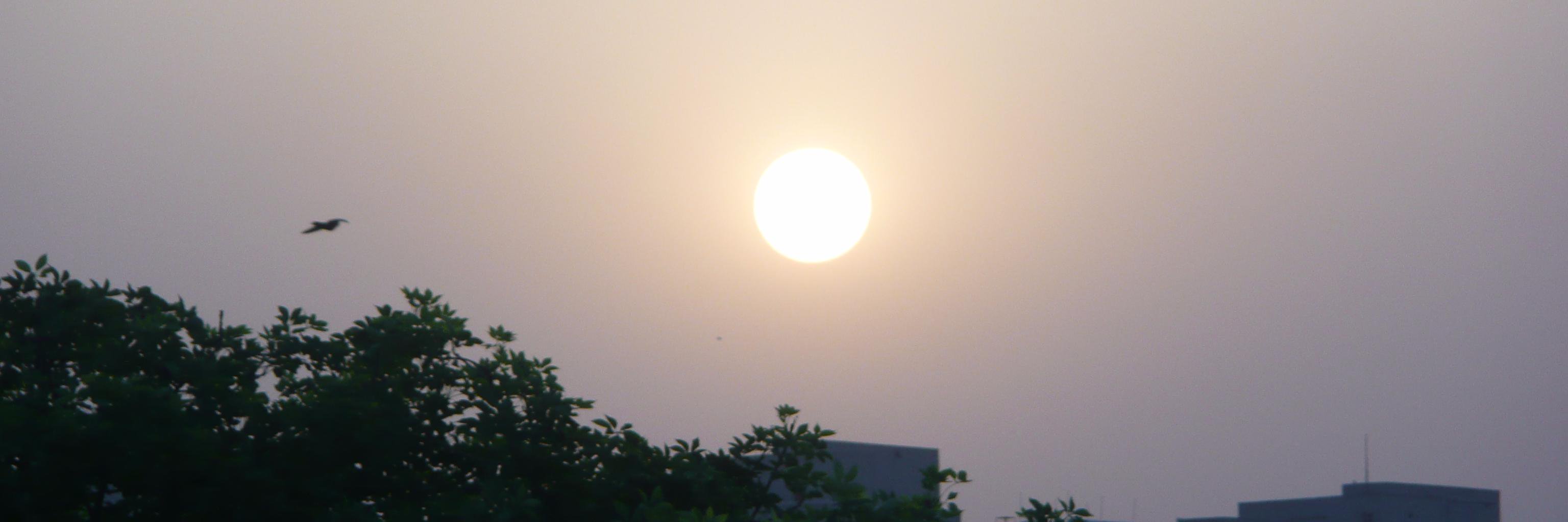 quantumhuman's profile banner image