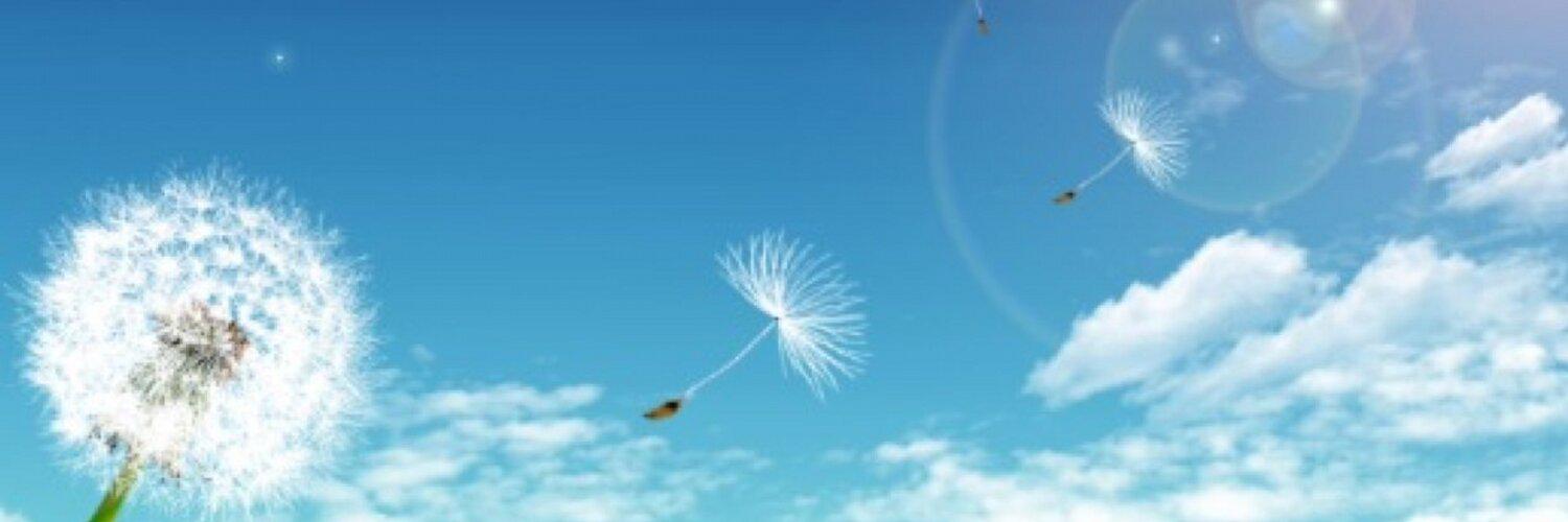 b_bagatta's profile banner image