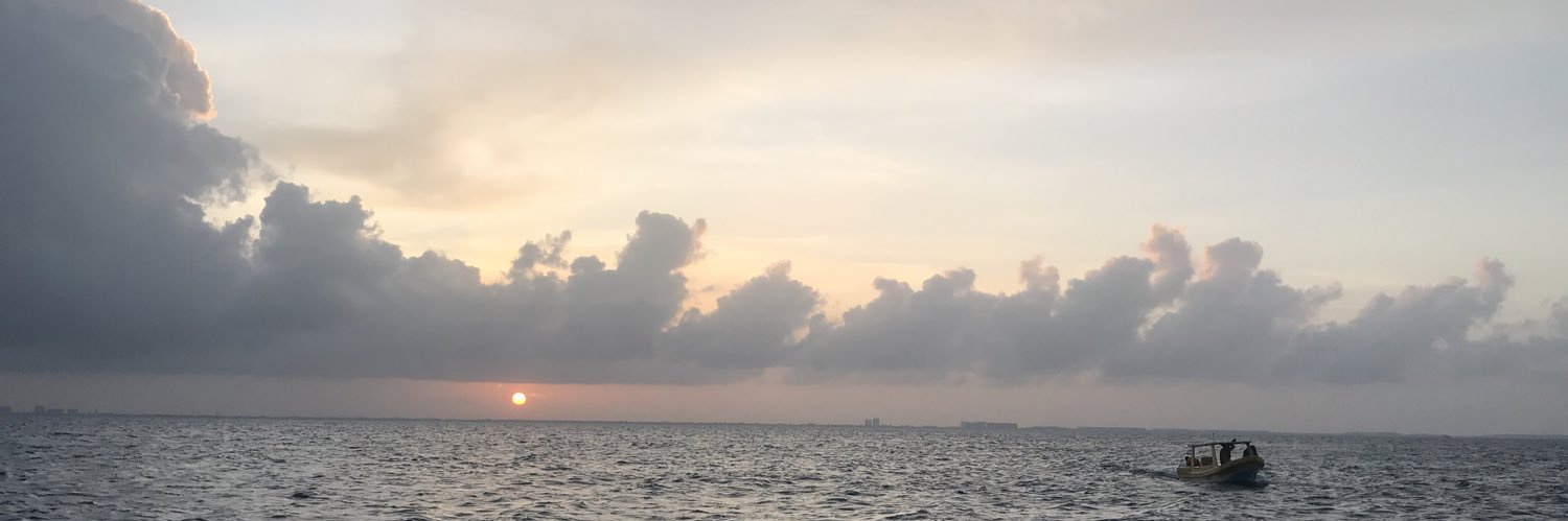 2febMaricela's profile banner image