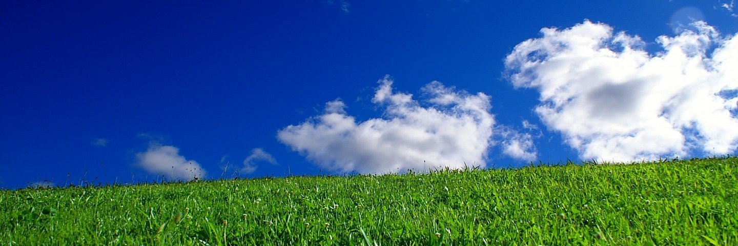 otasetai's profile banner image
