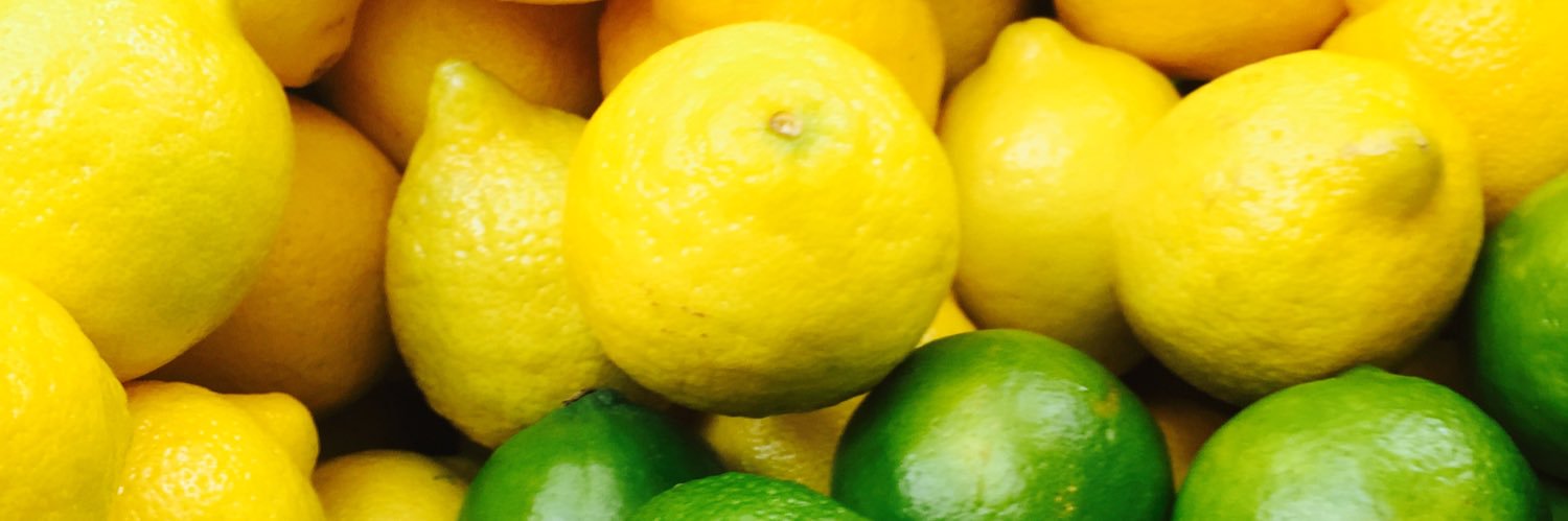 Philadelphia Lemonade Company banner