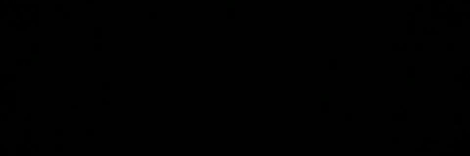 MintmasT's profile banner image
