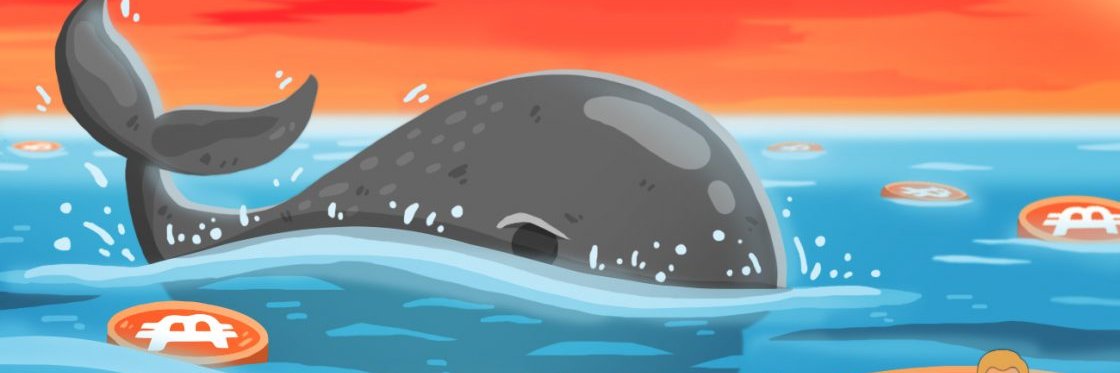 BottomDehaan's profile banner image