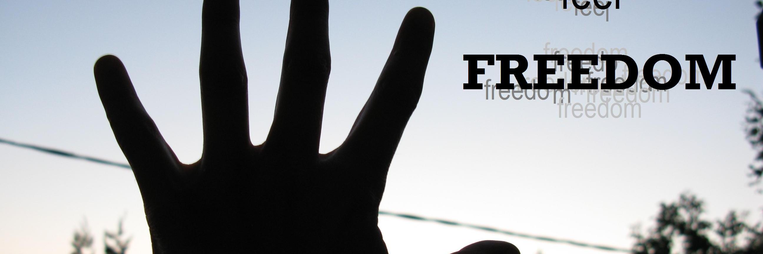 freedormsy's profile banner image