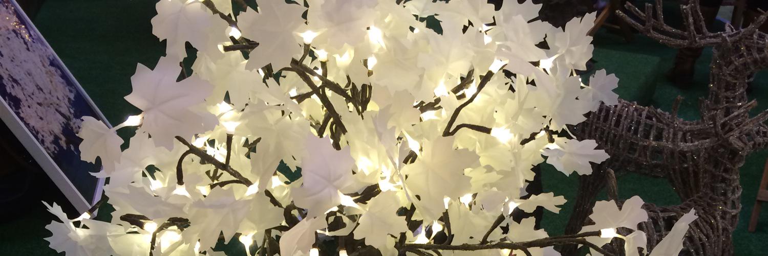 mish818's profile banner image