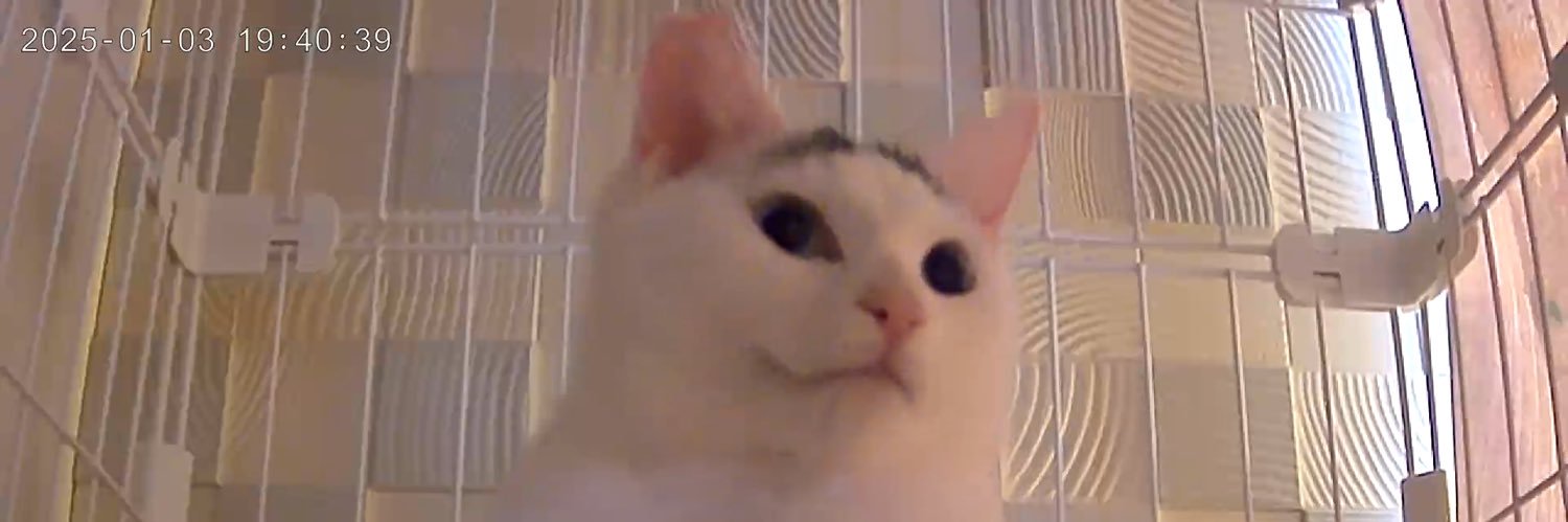 水瀬＠ニャンコ使い再研修中 banner