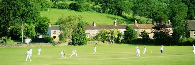 Village Cricketer banner