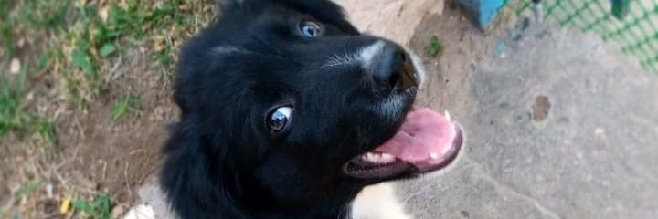 Ari_Flores1's profile banner image