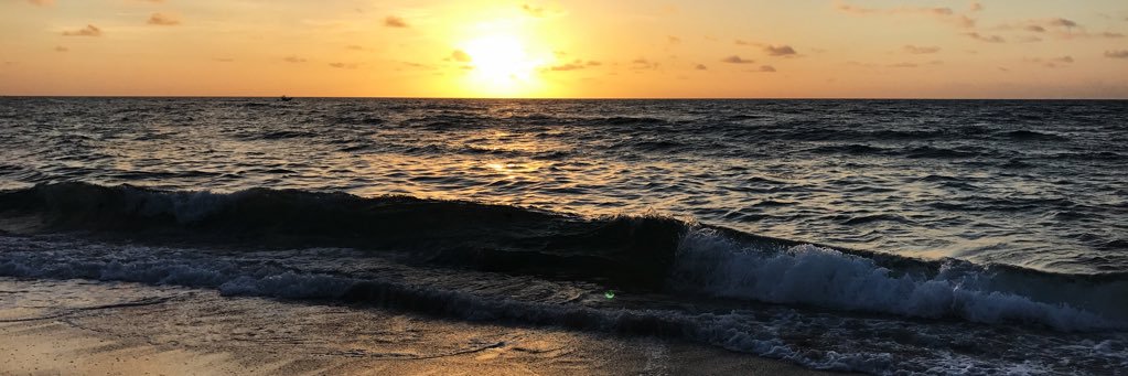 dani_moore5's profile banner image