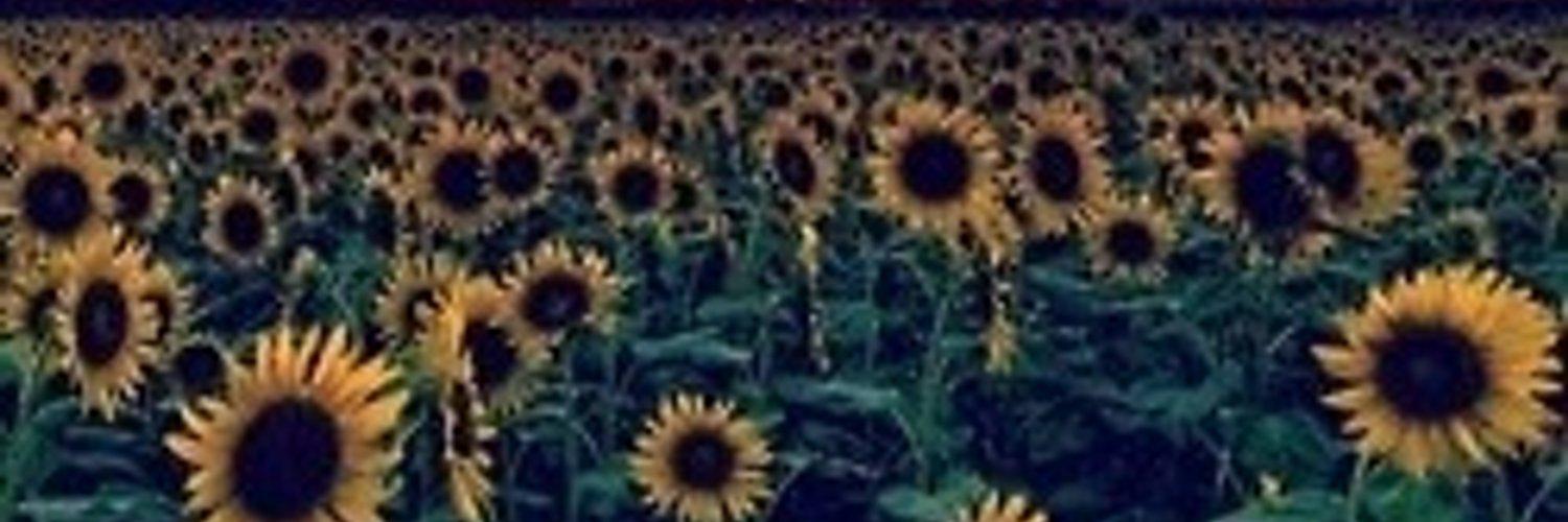 helenesharon2's profile banner image