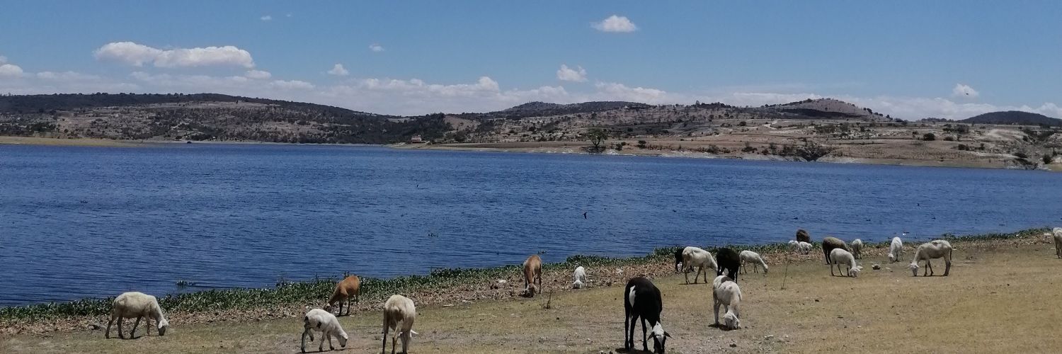 damitoledo_'s profile banner image