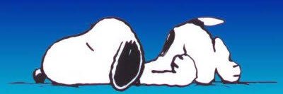 shany_mtz's profile banner image