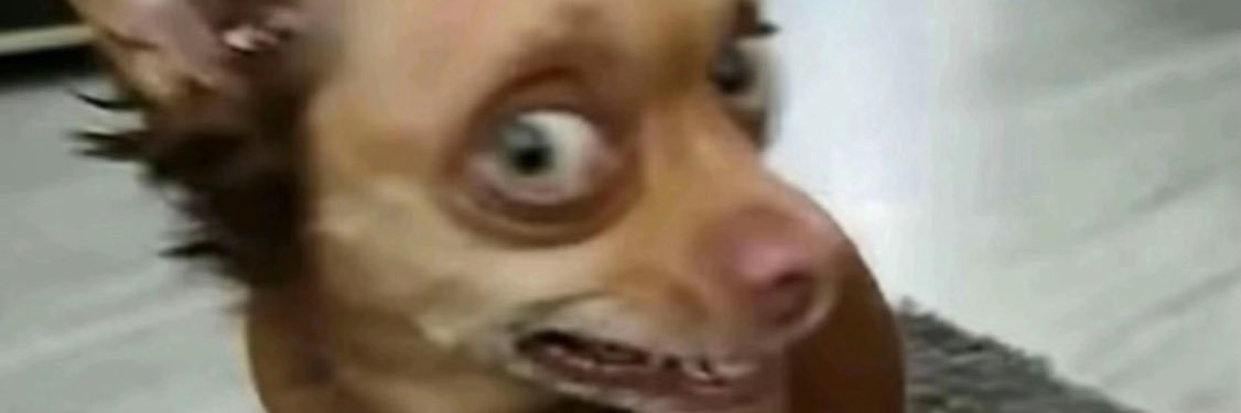 bebynenes's profile banner image