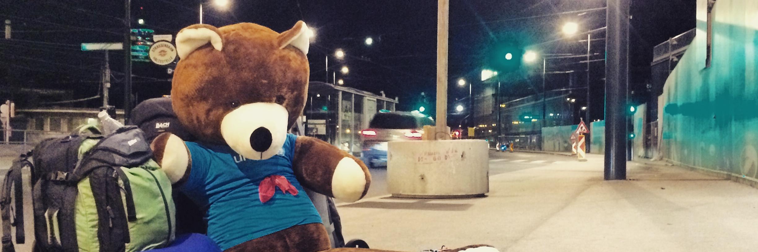 hereandbear's profile banner image