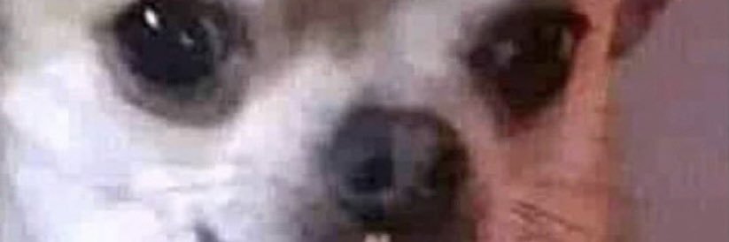 DONTDO_THAT's profile banner image