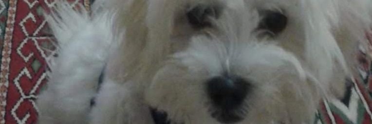 be_basaran's profile banner image