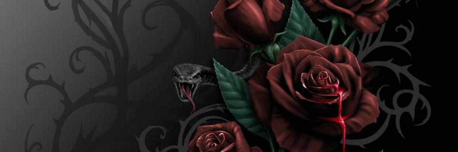AmeliaDebro's profile banner image