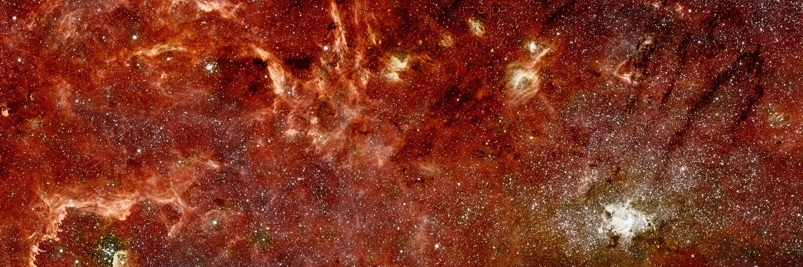 Joost Schuttelaar banner