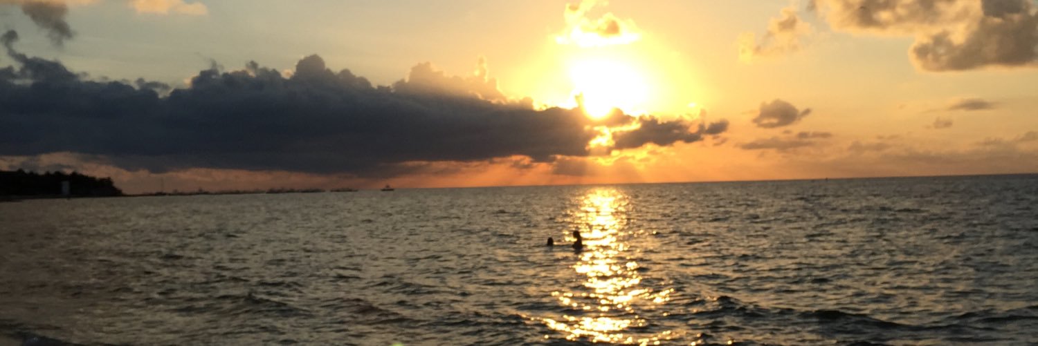 michdominguezz's profile banner image